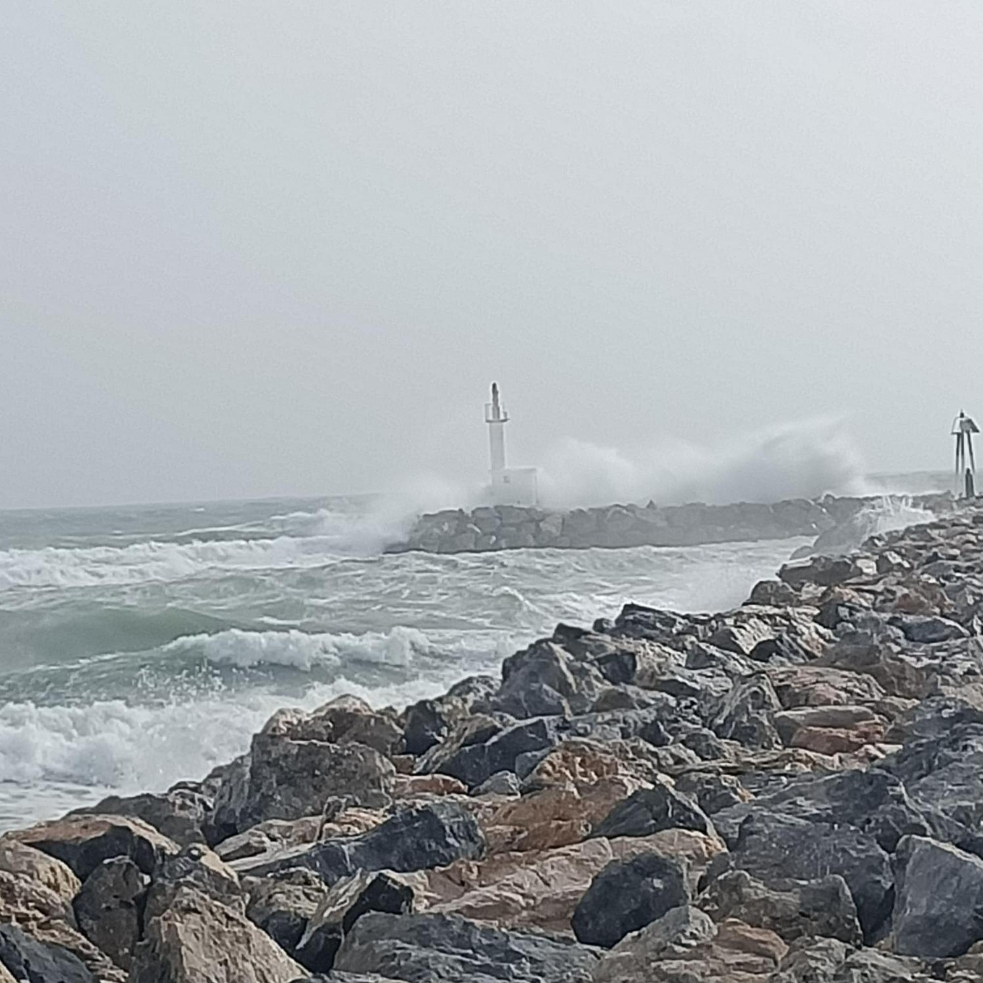Studio Les Pieds Dans L'Eau App N°7 Le Barcarès Kültér fotó